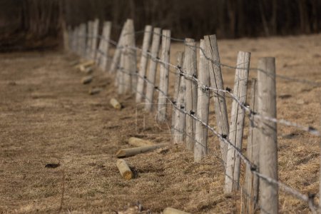 Téléchargez les photos : Un paysage printanier précoce d'une prairie avec clôture électrique en bois. Paysages ruraux de l'Europe du Nord. - en image libre de droit