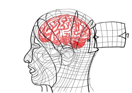 Téléchargez les illustrations : Brain inside a head shaped bird cage - en licence libre de droit