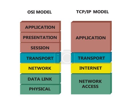 Téléchargez les illustrations : Compression entre le modèle OSI et le modèle TCP, vecteur - en licence libre de droit