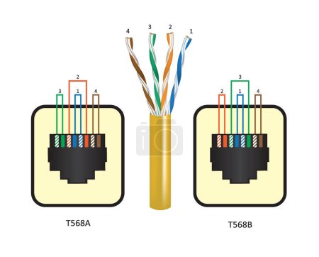 Téléchargez les illustrations : Normes de câblage Ethernet UTP. vecteur - en licence libre de droit