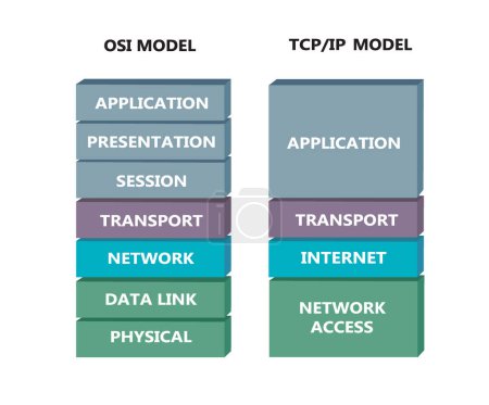 Téléchargez les photos : Compression entre le modèle OSI et le modèle TCP, vecteur - en image libre de droit