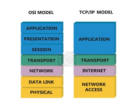 Téléchargez les photos : OSI and TCP model. vector - en image libre de droit
