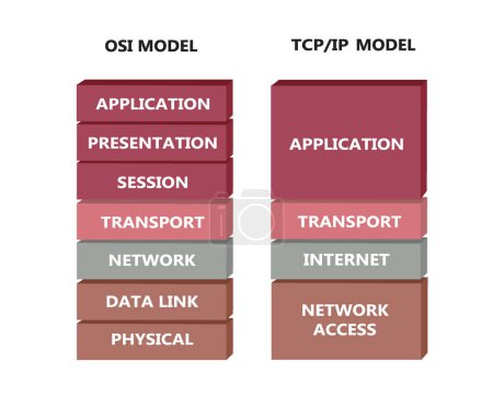Téléchargez les illustrations : OSI and TCP model. vector - en licence libre de droit