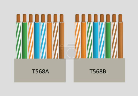 UTP cabling standards. vector illustration