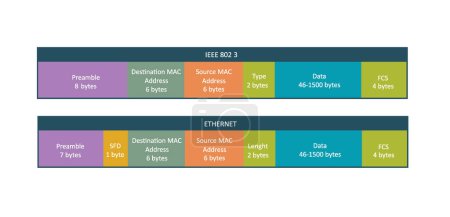 Ilustración de Dos tipos estándar de marco de Ethernet, vector - Imagen libre de derechos