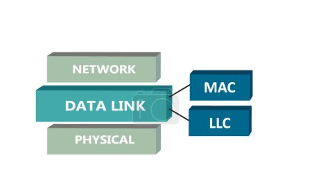 Data link sub layers, OSI model, vector