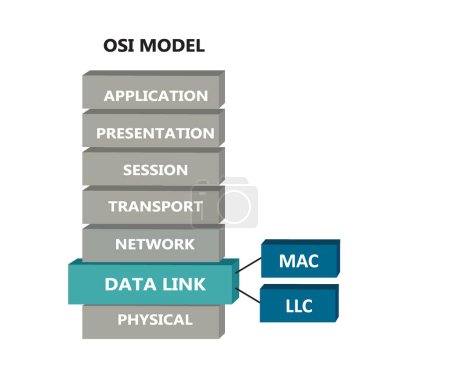 OSI network model with data link sub layers, vector