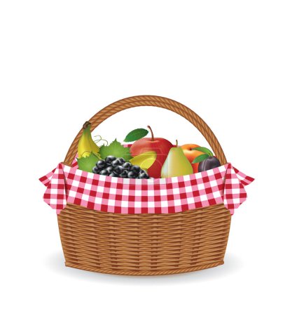 Picnic basket with fruits, vector
