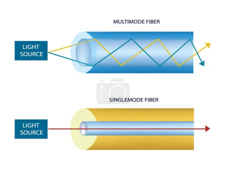 Multimode and single mode fiber, vector