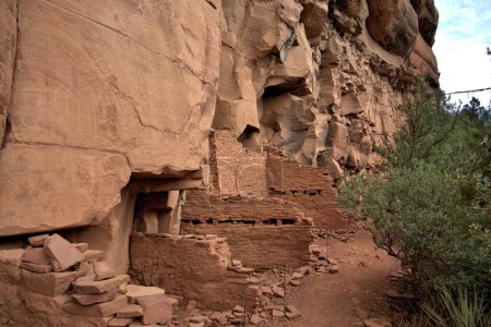 Foto de La gente de Sinagua llegó a Arizona alrededor de 650 A.D. Eran agricultores que incluían en sus dietas plantas y animales silvestres - Imagen libre de derechos