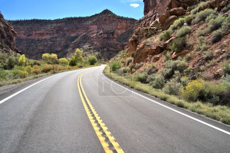 Photo for Twisting asphalt highway thru a canyon in rural Arizona - Royalty Free Image