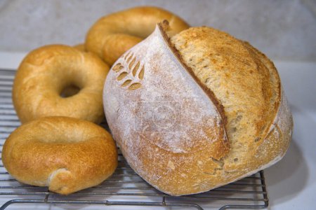 Téléchargez les photos : Organic Sourdough Bread and Bagels fresh out of the home oven - en image libre de droit