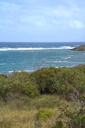 Photo for Stormy sea along the island of St Croix in the Virgin Islands - Royalty Free Image