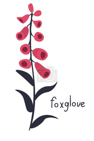 Illustration for Foxglove pink flower vector illustration - Royalty Free Image