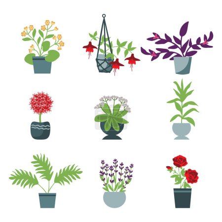 Illustration for House plants vector isolated set - Royalty Free Image