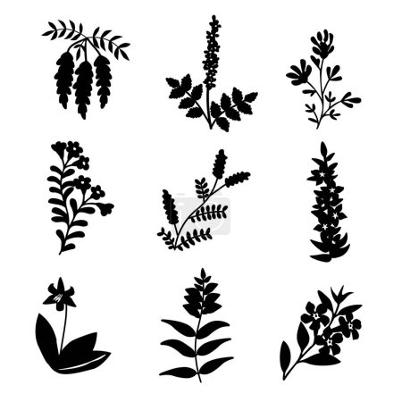 Ilustración de Set aislado negro vector flores - Imagen libre de derechos