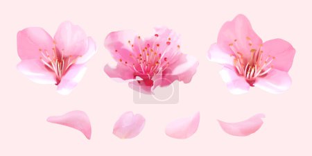 Téléchargez les illustrations : 3D Illustration of blooming sakura flowers and petals isolated on light pink background. - en licence libre de droit