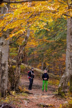 Téléchargez les photos : Touristes adultes trekking dans les bois d'automne, photo prise dans les montagnes slovaques Mala Fatra, sentier à travers Maly Rozsutec de Biely Potok - en image libre de droit