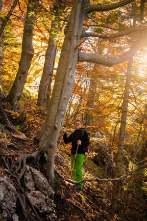 Téléchargez les photos : Randonnée touristique pour adultes dans les bois d'automne, photo prise dans les montagnes slovaques Mala Fatra, sentier à travers Maly Rozsutec de Biely Potok - en image libre de droit