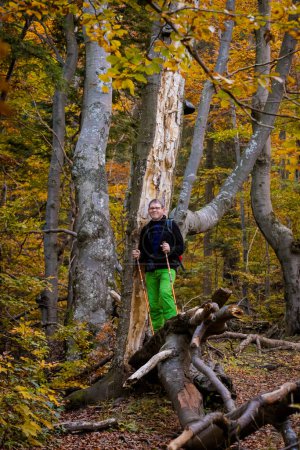 Photo for Adult tourist  trekking in autumn woods, photo taken in slovakian Mala Fatra mountains, path through Maly Rozsutec from Biely Potok - Royalty Free Image