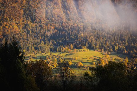 Téléchargez les photos : Beau chemin vers Maly Rozsutec depuis Biely Potok - dans les montagnes slovaques de Mala Fatra. Panorama ensoleillé d'automne. - en image libre de droit