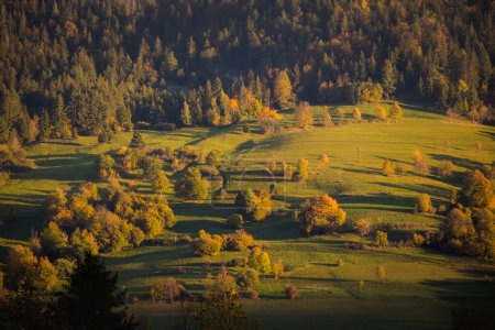 Téléchargez les photos : Beau chemin vers Maly Rozsutec depuis Biely Potok - dans les montagnes slovaques de Mala Fatra. Panorama ensoleillé d'automne. - en image libre de droit