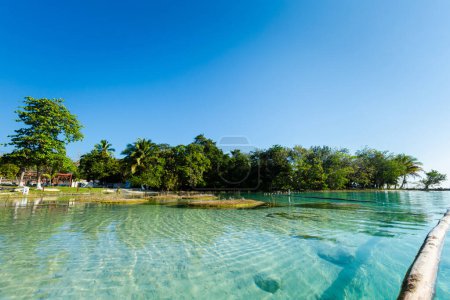 Téléchargez les photos : Beau paysage avec stromatolites, photo prise à Laguna Bacalar au Mexique pendant le voyage en kayak. - en image libre de droit