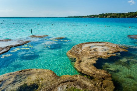 Téléchargez les photos : Beau paysage avec stromatolites, photo prise à Laguna Bacalar au Mexique pendant le voyage en kayak. - en image libre de droit