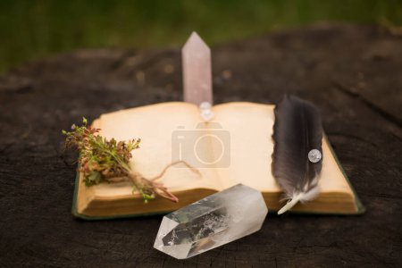 Téléchargez les photos : Autel de sorcière wiccan avec recettes ouvertes charme livre alchimie ingrédients autour, sac d'herbes médicinales magicien fond de table, magie quartz plume de corbeau moignon de plume dans la forêt - en image libre de droit