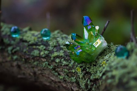 Foto de Cristales mágicos verdes en el bosque de otoño - Imagen libre de derechos