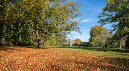 Photo for Stourhead House seen from the gardens filled with vibrant autumn, fall leaves and foliage in orange and yellow at Stourton, Wiltshire, UK on 28 October 2022 - Royalty Free Image