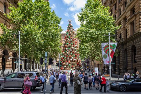 Téléchargez les photos : Arbre de Noël géant décoré dans le centre de Sydney, Australie, le 9 décembre 2022 - en image libre de droit