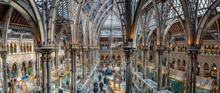 Photo for Panoramic view of the interior of the Oxford University Museum of Natural History, Oxford, Oxfordshire, UK on 25 March 2023 - Royalty Free Image