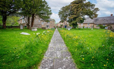 Photo for Pathway lined with yellow buttercups and daffodils leading from the Church of St Mary into the village of Burton Bradstock, Dorset, UK on 5 May 2023 - Royalty Free Image