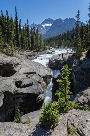 Photo for Glacial raging waterfalls with snow capped mountains in the background in Banff National Park in the Canadian Rockies, - Royalty Free Image