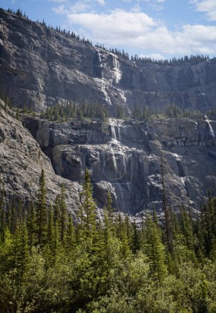 Weeping wall waterfalls off the Icefields Parkway in Banff National Park, Alberta, Canada.