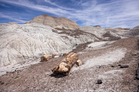 Badland hills of bluish bentonite clay with petrified wood  along the Blue Mesa trail in the Petrified Forest National Park, Arizona, USA on 18 April 2024.