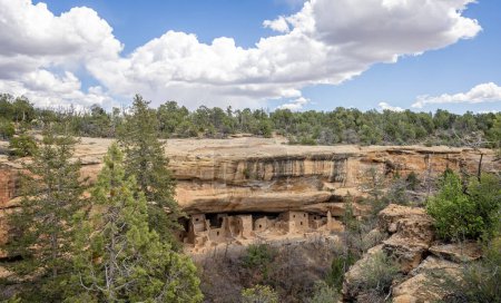 Téléchargez les photos : Ancient Spruce Tree House cliff dwelling in Mesa Verde National Park, Colorado, USA le 20 April 2024 - en image libre de droit