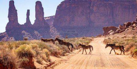 Chevaux sauvages traversant le sentier devant la formation rocheuse des Three Sisters à l'intérieur de Monument Valley, Arizona, États-Unis le 21 avril 2024