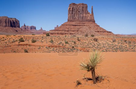 West Mitten Butte from the valley floor in Monument Valley, Arizona, USA on 21 April 2024