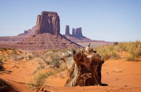 Large Butte and spire formations  from the valley floor in Monument Valley, Arizona, USA on 21 April 2024
