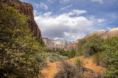 The West Temple and Towers of the Virgin from the Mount Carmel Highway in Zion National Park, Utah, USA on 25 April 2024