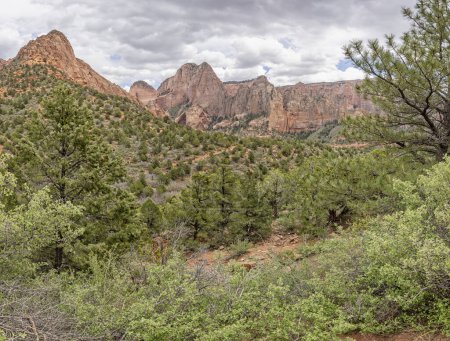 Formations rocheuses de grès Navajo de la route du Mont Carmel dans le parc national de Zion, Utah, États-Unis le 25 avril 2024