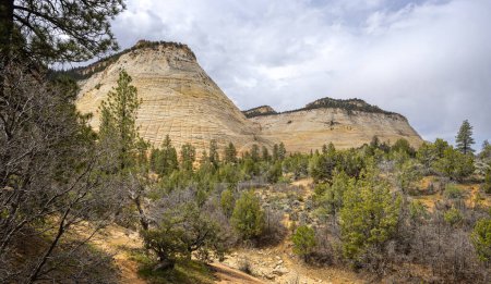 Schachbrett Mesa Felsformation vor dem Mount Carmel Highway im Zion National Park, Utah, USA am 25. April 2024