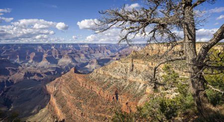 Dramatischer Blick auf den Grand Canyon vom Pipe Creek Vista auf der Wüstenfahrt am Südrand, Arizona, USA am 28. April 2024