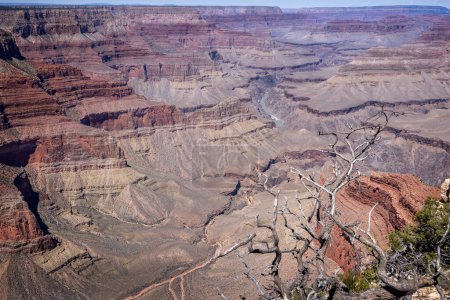 Dramatischer Blick auf den Grand Canyon vom Mohave Point am Südrand, Arizona, USA am 28. April 2024