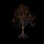 Apple tree black background 3d rendering