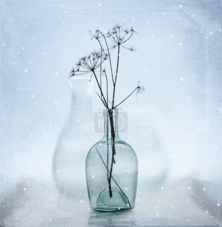 Foto de Botellas de vidrio con ramita fina planta seca sobre la mesa sobre un fondo transparente claro. Bodegón en invierno - Imagen libre de derechos