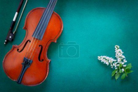 Photo for Close up of Branch of blossoming bird cherry and old violin on green background. - Royalty Free Image