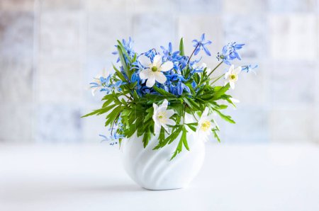 Téléchargez les photos : Bouquet délicat de la première anémone de fleurs de printemps et goutte de neige dans un vase blanc - en image libre de droit